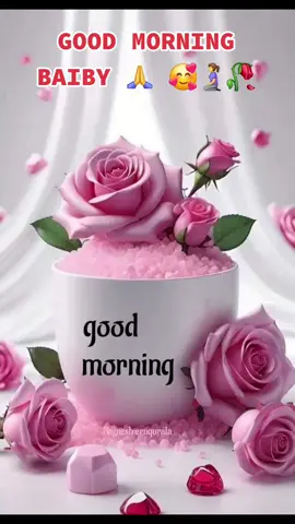 #foryourpages #fouryou #JAMIE #onthisday #💚💚💚 #💕 #💖 #❣️ #🌹 #💘 #💋 #🥰🥰🥰🥰❤️❤️❤️ #😘😘😘 #iloveyou #couple #gdmorning 