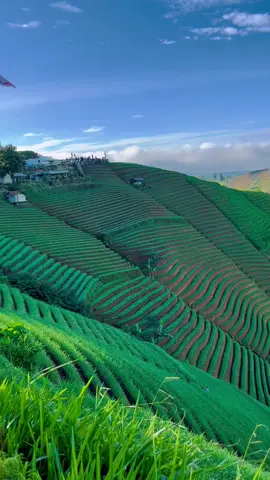 Lensa terbaik adalah mata. Masya allah ✨ . . . . . . @Ulin Majalengka @Explore Majalengka @Explore Jawa Barat @MAJALENGKA @Info MJLK @wisatamajalengka @Wisata Terasering Panyaweuyan @Terasering Panyaweuyan   #majalengka #majalengkahits #majalengkajawabarat #panyaweuyanmajalengka #teraseringpanyaweuyan #argapura #infomajalengka #infomjlk #exploremajalengka #wisatamajalengka #majalengkapunya #majalengkapride #argapuramajalengka #alam #thenightwemet #lordhuron #lordhuronthenightwemet #jawabarat #jawabaratpunya #majalengkapride🏴‍☠️ #alamhijau🍃🍀 #fyp #fypage #fyppppppppppppppppppppppp 