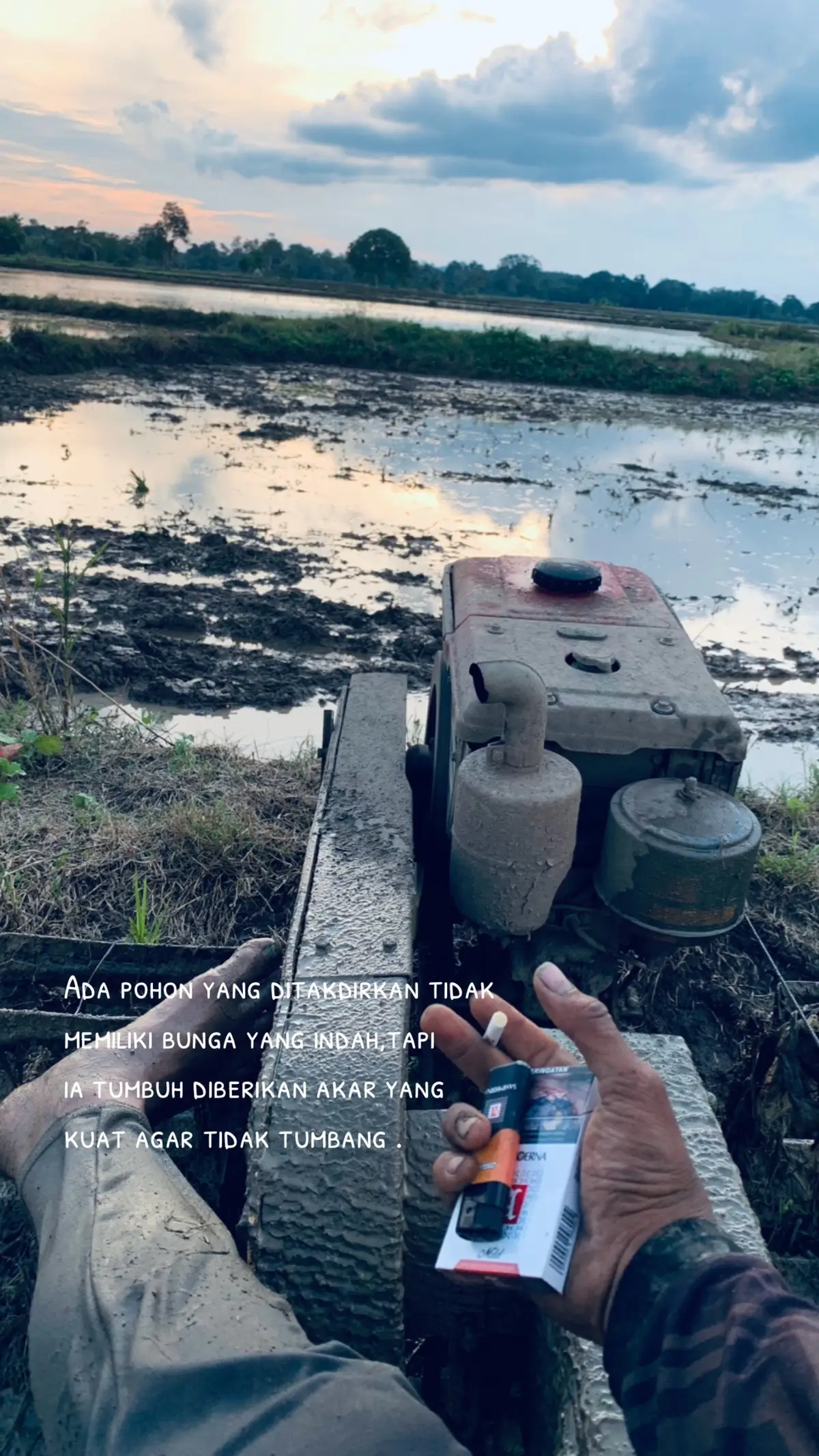#fypシ #bugistiktok #wijapaggalung🌾 #fypage 