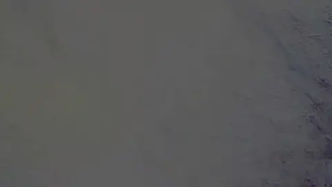Sakura no uta vietsub