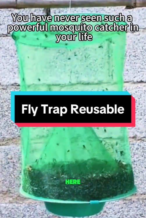 Say goodbye to annoying flies! 🦟 Keep your space fresh with the Dazone Ranch Reusable Fly Trap. Perfect for indoor and outdoor use, family farms, parks, and even restaurants 🍽. Keep your environment fly-free all year round! 🌿💯 Don’t wait, grab yours now! 🔥 #FlyTrap #NoMoreFlies #FamilyFarmLife #OutdoorEssentials #FlyControl #CleanLiving #HomeHacks #DIY #FarmLife #SummerMustHave 🏡✨