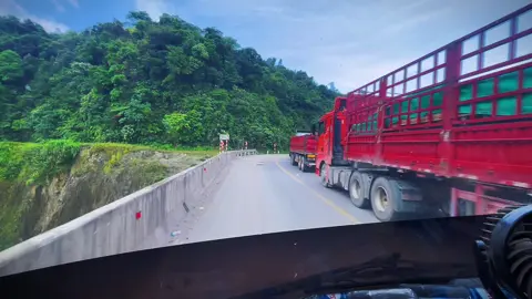 Xuhuongtiktok