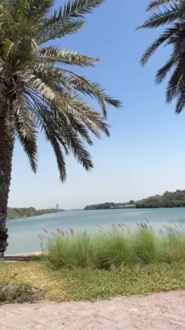#ابوظبي #العين #دبي🇦🇪 
