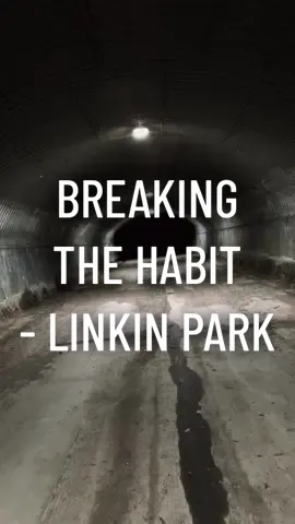 I try to catch my breath again #breakingthehabit #linkinpark #cover #sing #singer #singing #song #rock #chesterbennington 