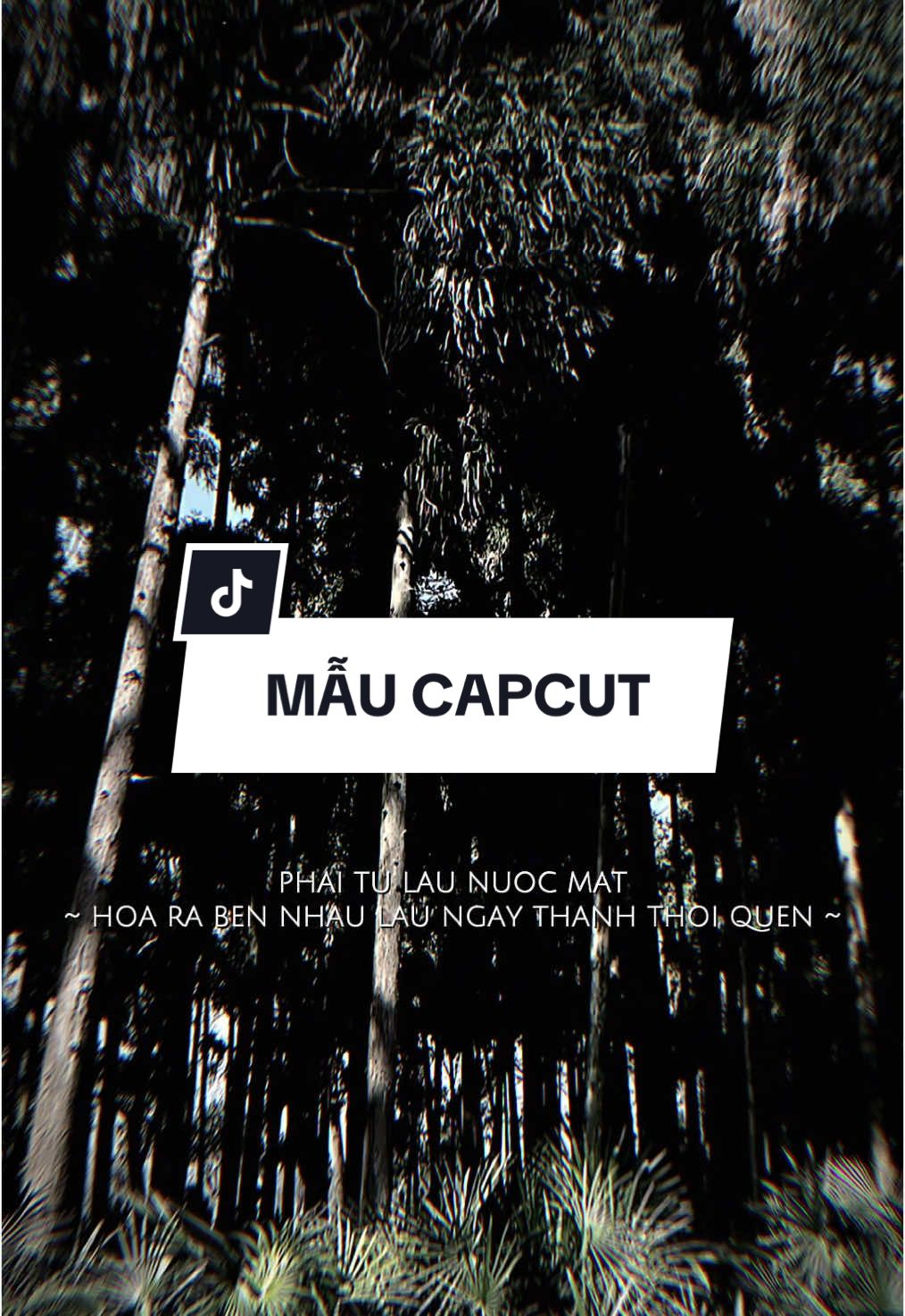 Phải tự lau nước mắt hóa ra bên nhau lâu ngày thành thói quen… ##CapCut##xuhuong##edit##lyrics##nhachaymoingay##mẫucapcut##capcutmaster