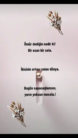 #viralvideo 