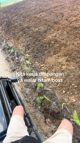 #vikyzalranramadhan #zalrangroup #fyp #petanimuda #petaniindonesia🇮🇩🇮🇩🇮🇩🌿🌿 #petani #fypage #xyczba 