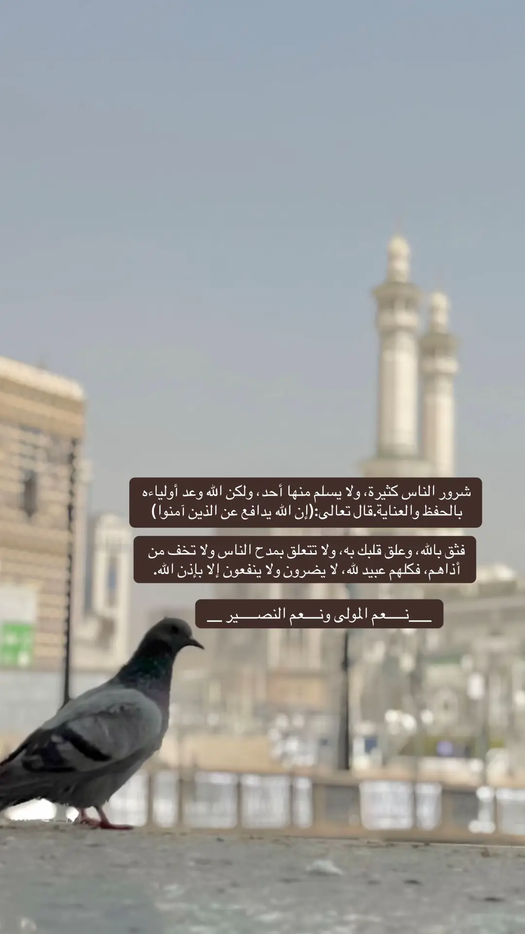 #ربنا_اتنا_في_الدنيا_حسنه_وفي_الأخرة_حسنة 