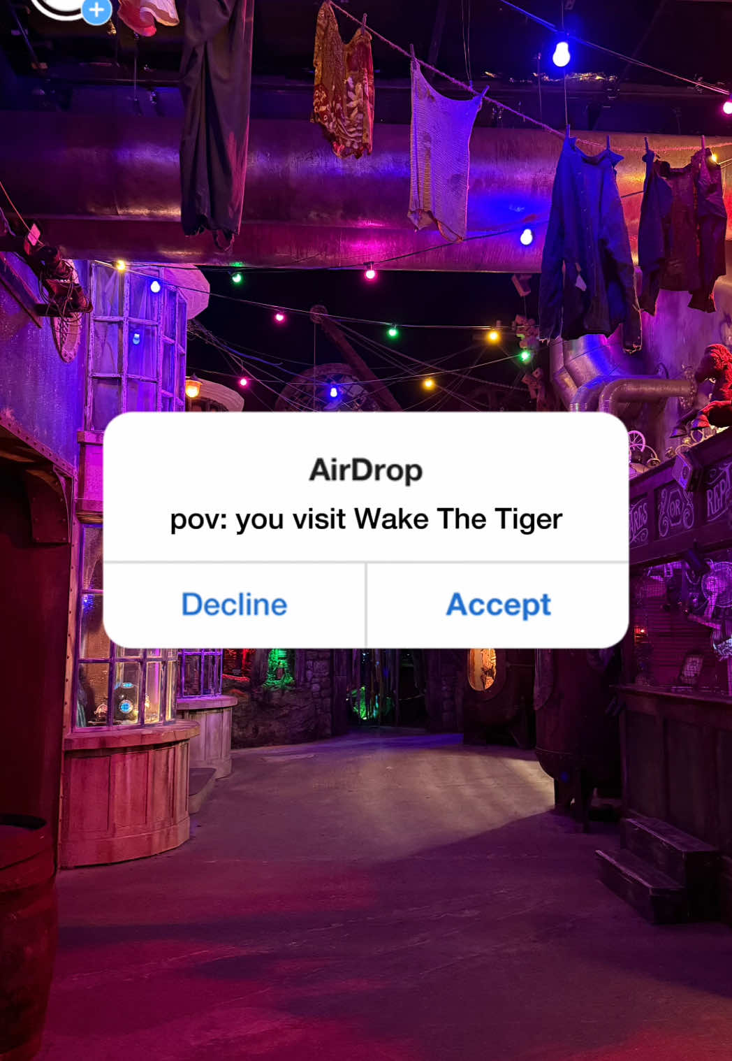 POV: You visit Wake The Tiger  #wakethetigerbristol 
