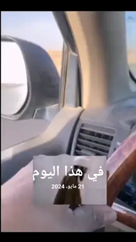 #طيور #تور #ارافل #ارافل_العراق  #أدهم_الحمدوني #fyp #paidadsh #في هذا اليوم 