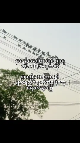 #fyppppppppppppppppppppppp #lorrisl #lorrisl #tiktokviral #tiktok 