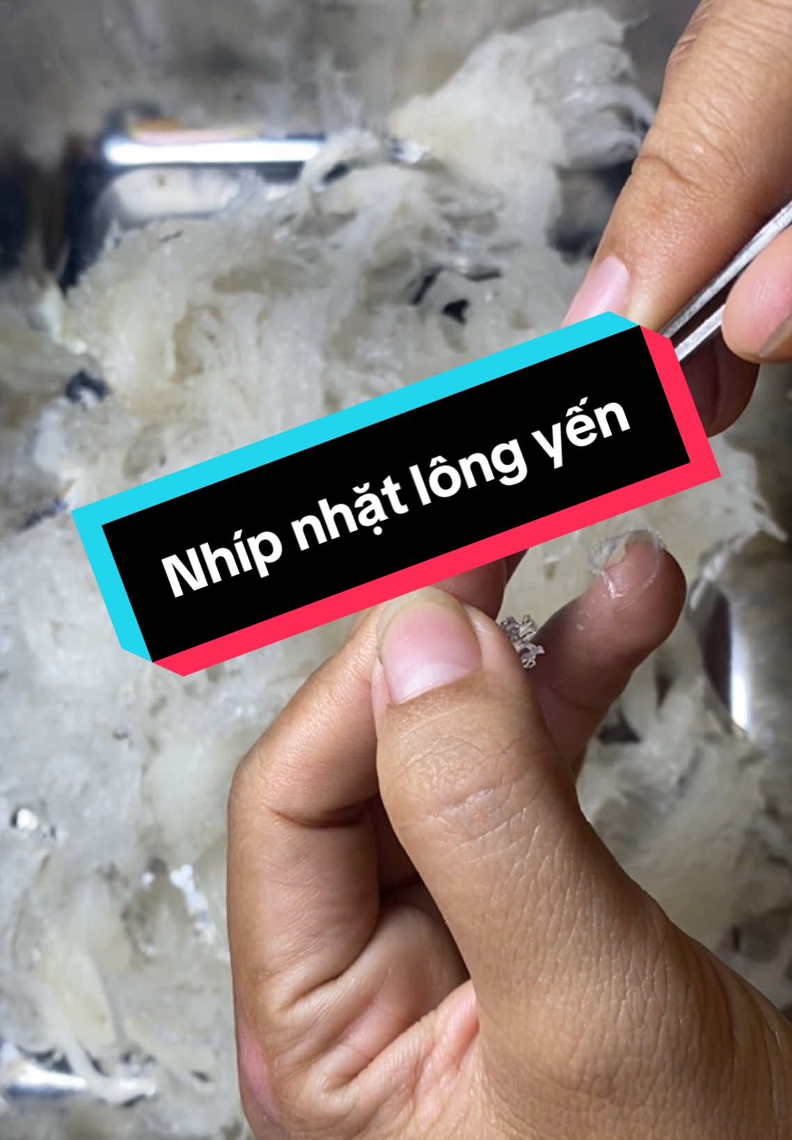 Nhặt lông Yến chưa các tình yêu ơi 🤭🤭🤭 #nhipnhatlongyen #nhipnhatlongyenchuyendung #nhatlongyen #nhatlongyentainha #nhatlongyentho @Chị em Heo Cọp #phukienyensao 