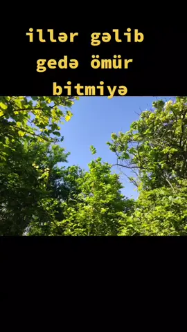 #bugün #kəsvett #kesviyat 