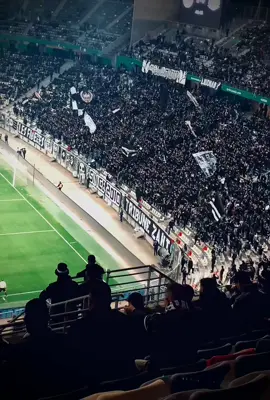 #وفاق_سطيف #الشعب_الصيني_ماله_حل😂😂 #setif______19سطايفي_يا_خالي #وفاق_سطيف_العالمي💪⚽🖤💪 #وفاق_سطيف_العالمي💪⚽🖤💪 #setif______19 #الشعب_الصيني_ماله_حل😂😂 #وفاق_سطيف_العالمي💪⚽🖤💪 #الشعب_الصيني_ماله_حل😂😂 #وفاق_سطيف 