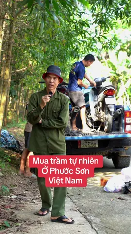 Mua cục trầm siêu phẩm tại Phước Sơn VIỆT NAM và hành trình khám phá thiên nhiên 👇#trầmhuongvietnam @Trầm Hương Huỳnh Đức Tài 