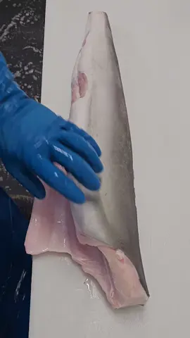 #shark #bronzewhaler #coppershark #babyshark  #fishmonger  #realfishmongersofinsta #fillets #filleting #filletingfish #fishfilleting #fishprocessing #seafood #fyp #foryou #foryoupage 