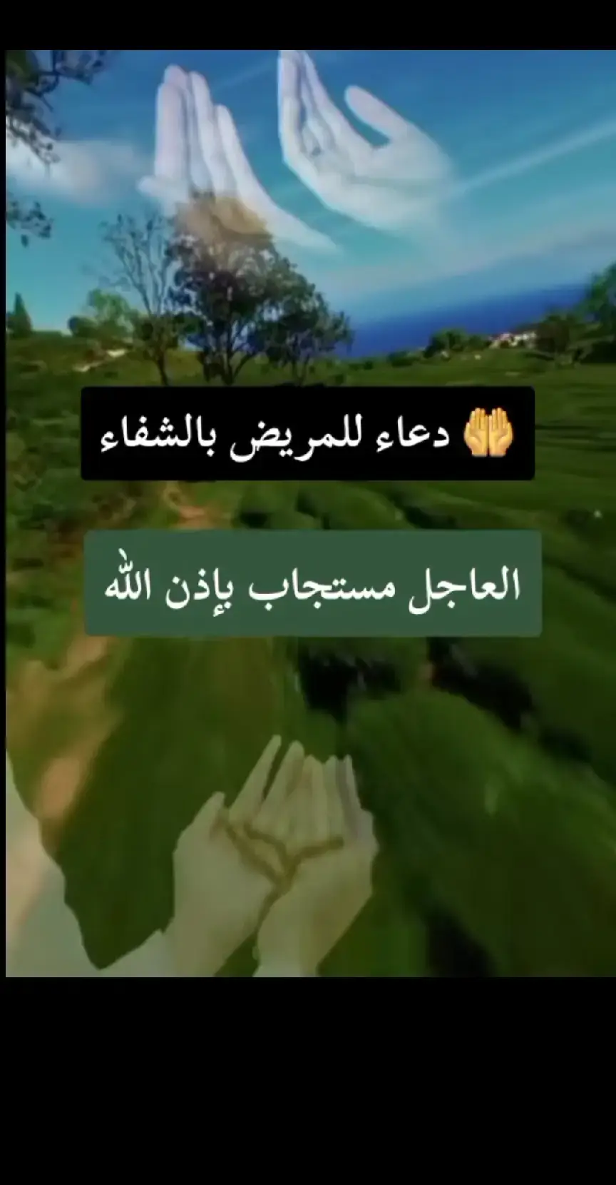#🤲🤲🤲🕌🕌🕌🕋🕋 