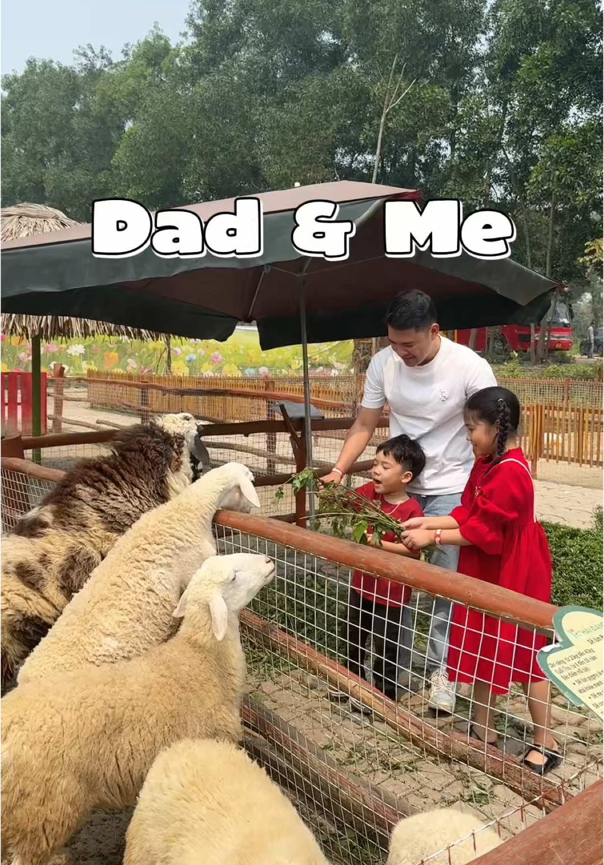 Bố và mẹ.đồng hành cùng nhau chăm con thì tuyệt vời lắm phải không ạ ? #dadandme #lactoferrin #CBP 