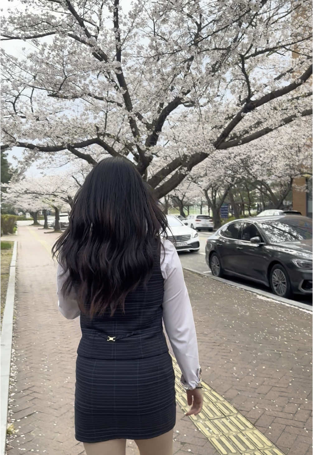 올해의 첫계절 이제 진짜 끝 #봄 #마지막 #추천 #fyp #08 #여름 #벚꽃 