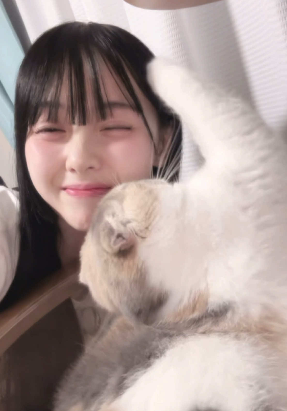 るにゃに猫パンチされたい人〜？🐈♡昨日のNGだよ🤭一緒に撮ろうと思ったらまさかの猫パンチされました( '-' )ノ)`-' )ﾍﾟｼｯ