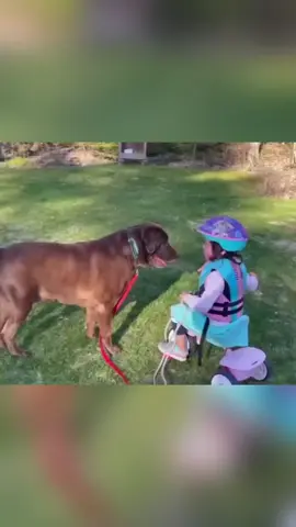 Funny dogs and children#dog #dogsoftiktok #children #fpyシ #pet #funnyanimals #tiktok #funnyvideos 