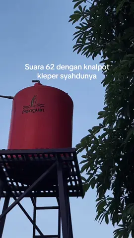 Ytta😬#albinogank🤙 #fypシ゚ #cantergank🚀 