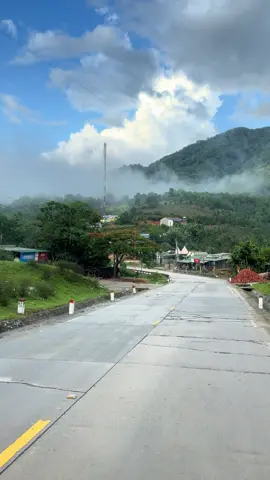 Mây
