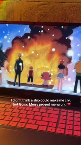 Rewatching this still hits just as hard. I cried like it was the first time 💔 #goingmerry #strawhatpirates #onepiece #anime 