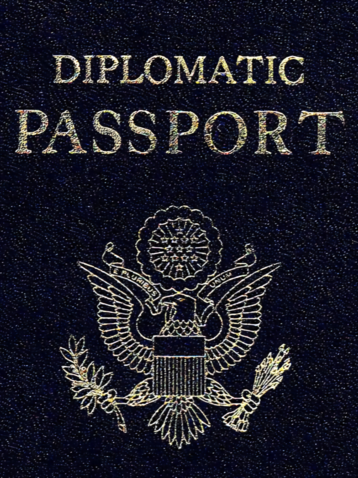 she's gonna be a diplomat #abundancemindset #manifesting #luxurylifestyle #fypシ゚ #diplomat 