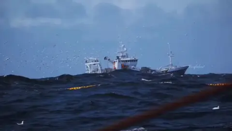 Trong tình yêu có 2 loại hối tiếc: Một là bạn đã từng yêu rất nghiêm túc, cuối cùng lại phát hiện ra người đó không đáng, loại còn lại là lúc yêu không chân thành, sau khi mất đi, mới phát hiện ra đó mới là người thực sự đáng để yêu. Nhưng tôi cho rằng vẫn còn loại hối tiếc thứ ba, là hai người rõ ràng nghiêm túc yêu nhau. Cuối cùng, lại không thể ở bên nhau.