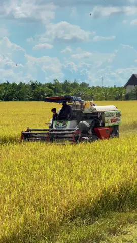 Lai rai đồng nhà ae oi 🤣#kubotadc105xบ้าพลัง #xecholua🌾🌾🌾 #66đồngtháp @FBnhấthuy @FBVĂN CHIẾN @𝙑𝙖𝙣 𝙇𝙞𝙣𝙝 @Thịnh nhỏ📌 @Nam Hoang @FB Gia Tường @minh An 67 @Bình @Hoàng Thắngg @Danh Nguyễn 