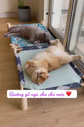 Có cái giường này mua hè con mèo nhà tui ngủ ngon giữ lắm #giuongnguchomeo #xuhuong #viral  @Happy.Pets  @Happy.Pets  @Happy.Pets 