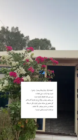 العائلة أولًا، وثانيًا وثالثًا وعاشرًا ، وأخيرًا ..✅