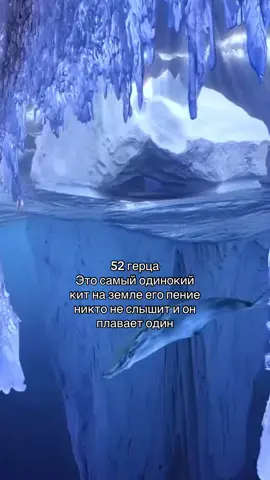 Кто помнит