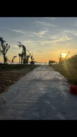 Bình minh 🌄 