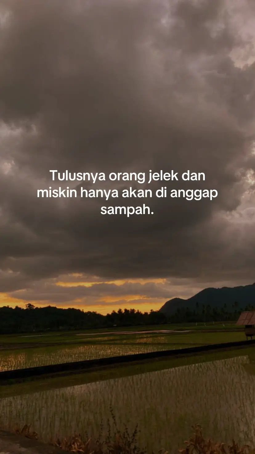 #quotes#statuswhatsapp#senja 
