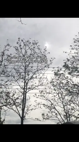 🍃 #moots? #moots #viralvideo #viral #foryou #fypシ゚ #fypシ゚ #zyxbca #zyxbca #trending #quotes #စာတို #စာတို💯 