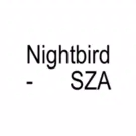 Nightbird - SZA #sza #fyp #lyrics 