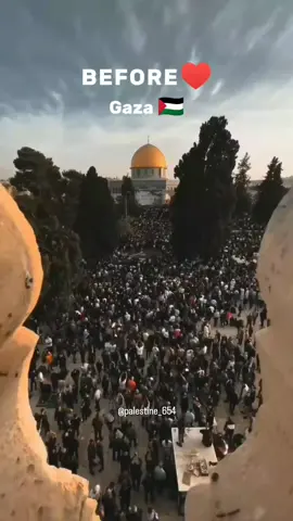 Before and After Gaza and Palestine Condition 😭🇵🇸🥲💔 | Palestine video | Islamic videos |  #foryou #foryoupage #fyp #fyppppppppppppppppppppppp #islamicvideo #allahuakbar #muhammad #palestine #gaza #viralvideo #viral #treanding #freepalestine🇵🇸❤️ #fyppppppppppppppppppppppp #foryouuuuuuuuuuuuu #foryou #viraltiktok 