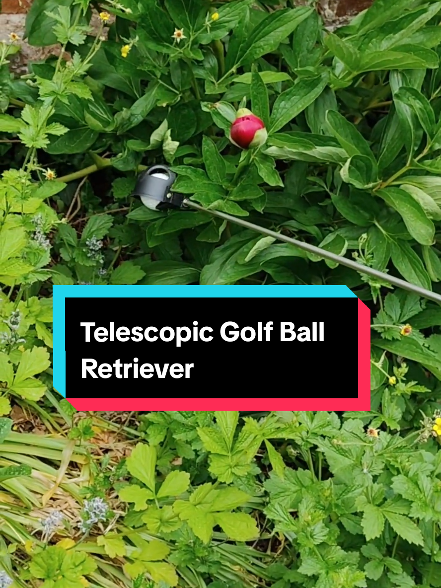 Wish I knew about this sooner, would've saved a fortune on golf balls. #golfer #golftok #golfballretriever #golfballfinder 