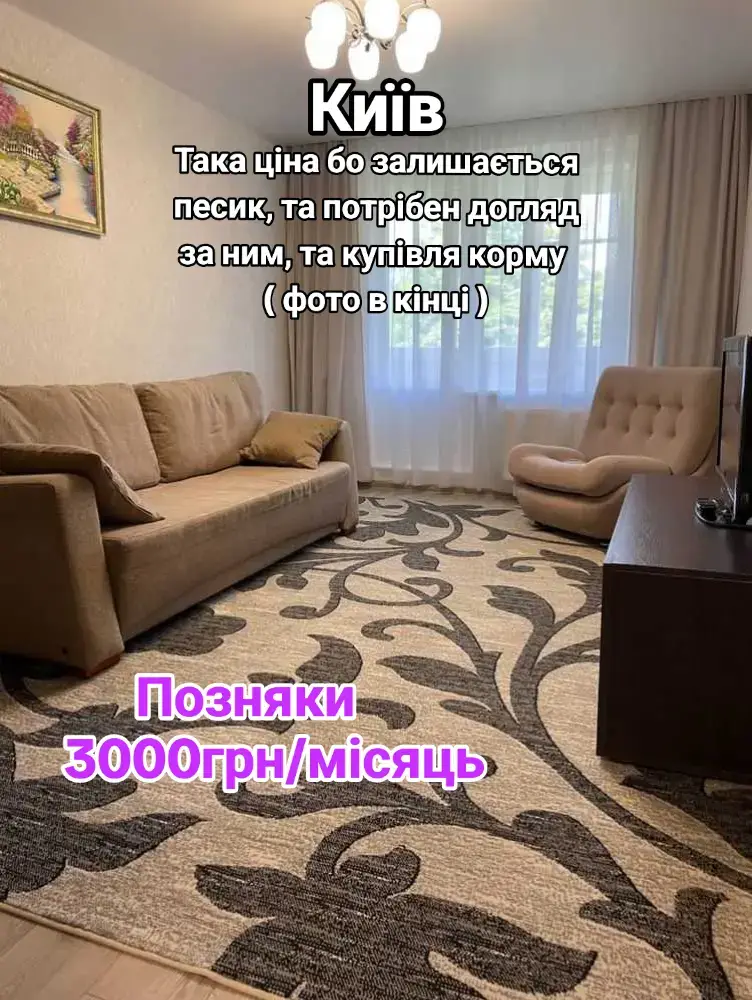 🔑1 кімнатна 🚇Метро: Позняки ❓️Місце знаходження: вул. Бориса Гмирі 💰Ціна: 3000грн + комунальні послуги + інтернет  🏠Поверх: 5/16 ☎️ Телефон: Контакти власника є за посиланням в описі профілю 🤝 #рекомендації #україна #київ #киев #орендаквартиркиїв #орендакиїв #київквартири #нерухомість #нерухомістькиїв 