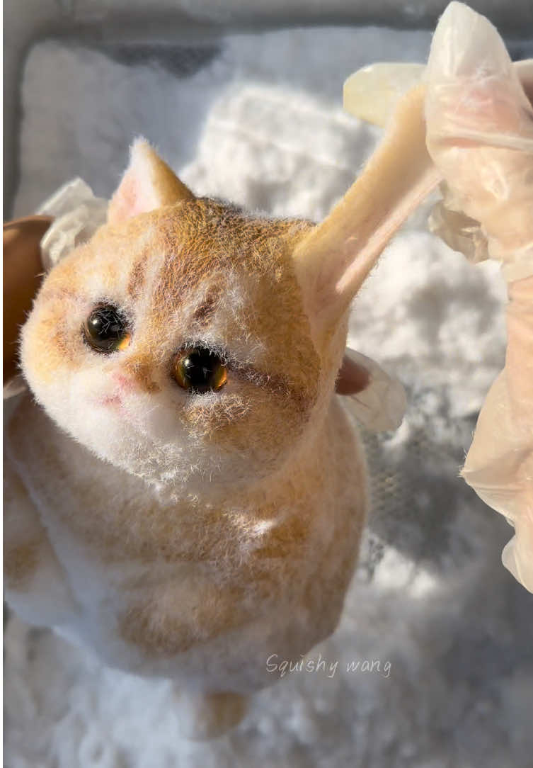 The ears of a kitten are soft.#squishy #DIY #cat #cute #handmade #kitty #dog #art #fy #foryou #craft #custom #bird #painting #puppy #ragdoll 
