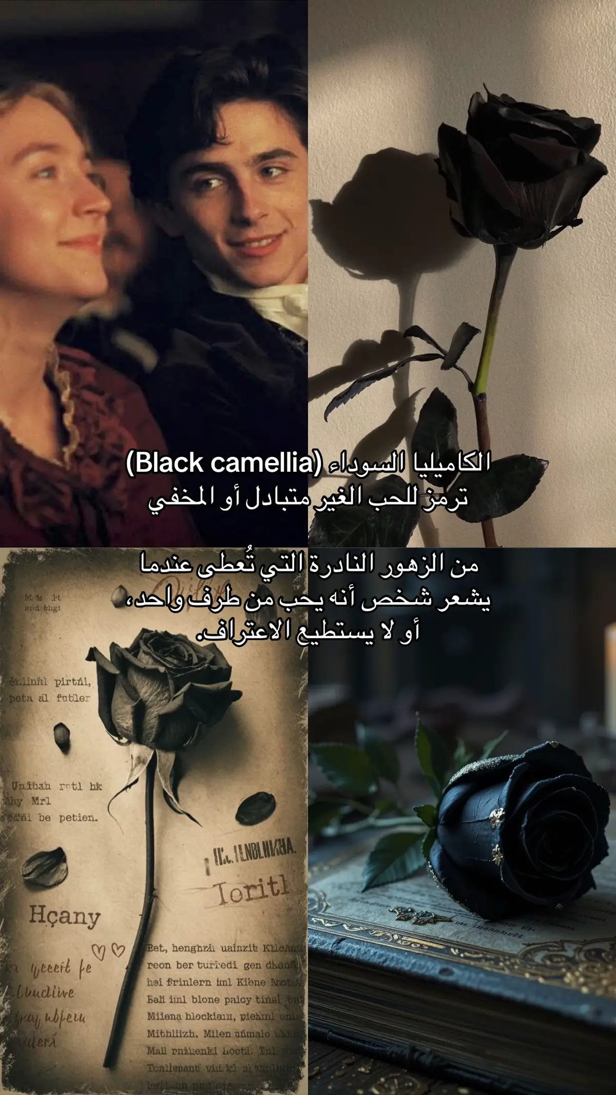 #rose #flowers #viral #fyp 