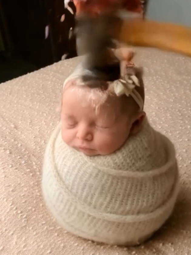 ball baby ⚠️FAKE EVERYTHING⚠️ #baby #cute #fakesituation #ball #hammer #unexpected #sfx #ai #aivideo #fullwarp #xyzbca #viral #foryou #mixflavr 