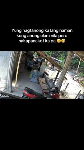 It's too cute not to post diba 😆🤣 sorry na agad sa likod bahay naming magulo dahil under renovation pa 🫠🫠 #lolosgirl #lolasgirl #prank #cctv 