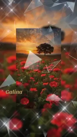 #CapCut 