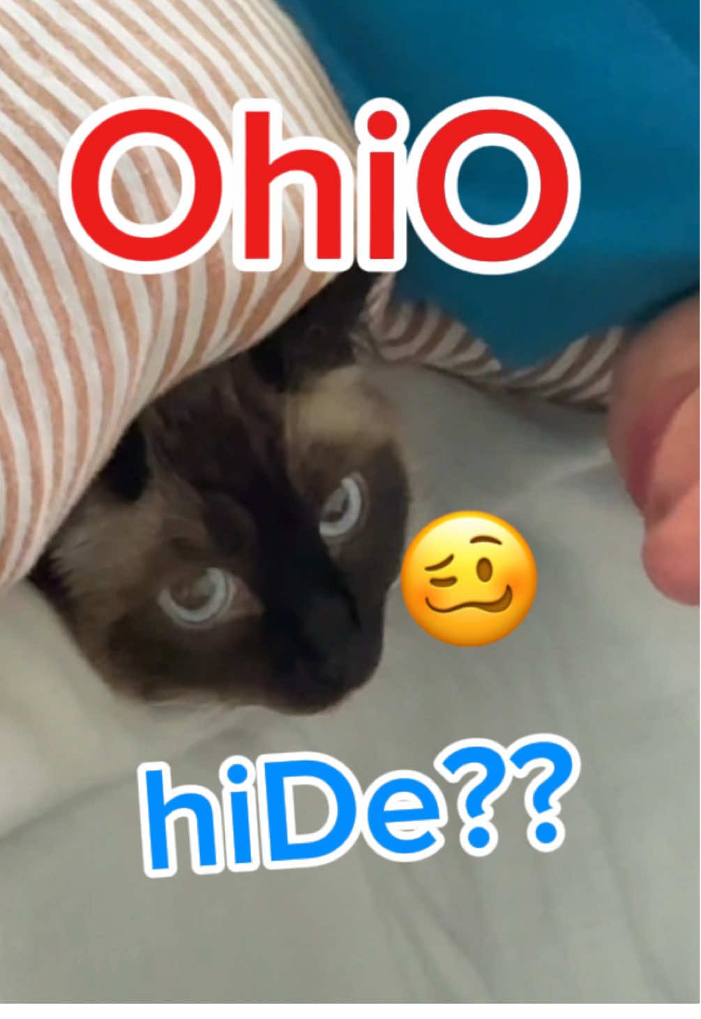 meeF no OhiO,   sorrY Granma, LMOA, SeNd to a  HAM,:. #bagagwa #catsoftiktok #nbadraft #nbafinals #ohio