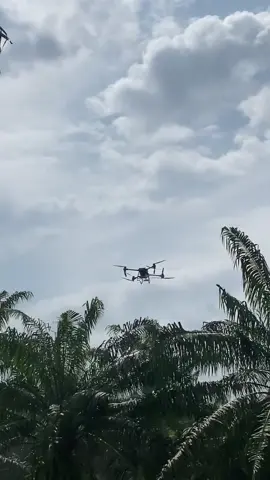 #CapCut cakrawala diperluas perspektif berubah🌴🦅
