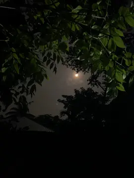 কল্পনার শহরে সবাই সুখী 🙂  #fyp #foryou #foryoupage #anfeezemyaccont #edit #viral @TikTok Bangladesh @TikTok 