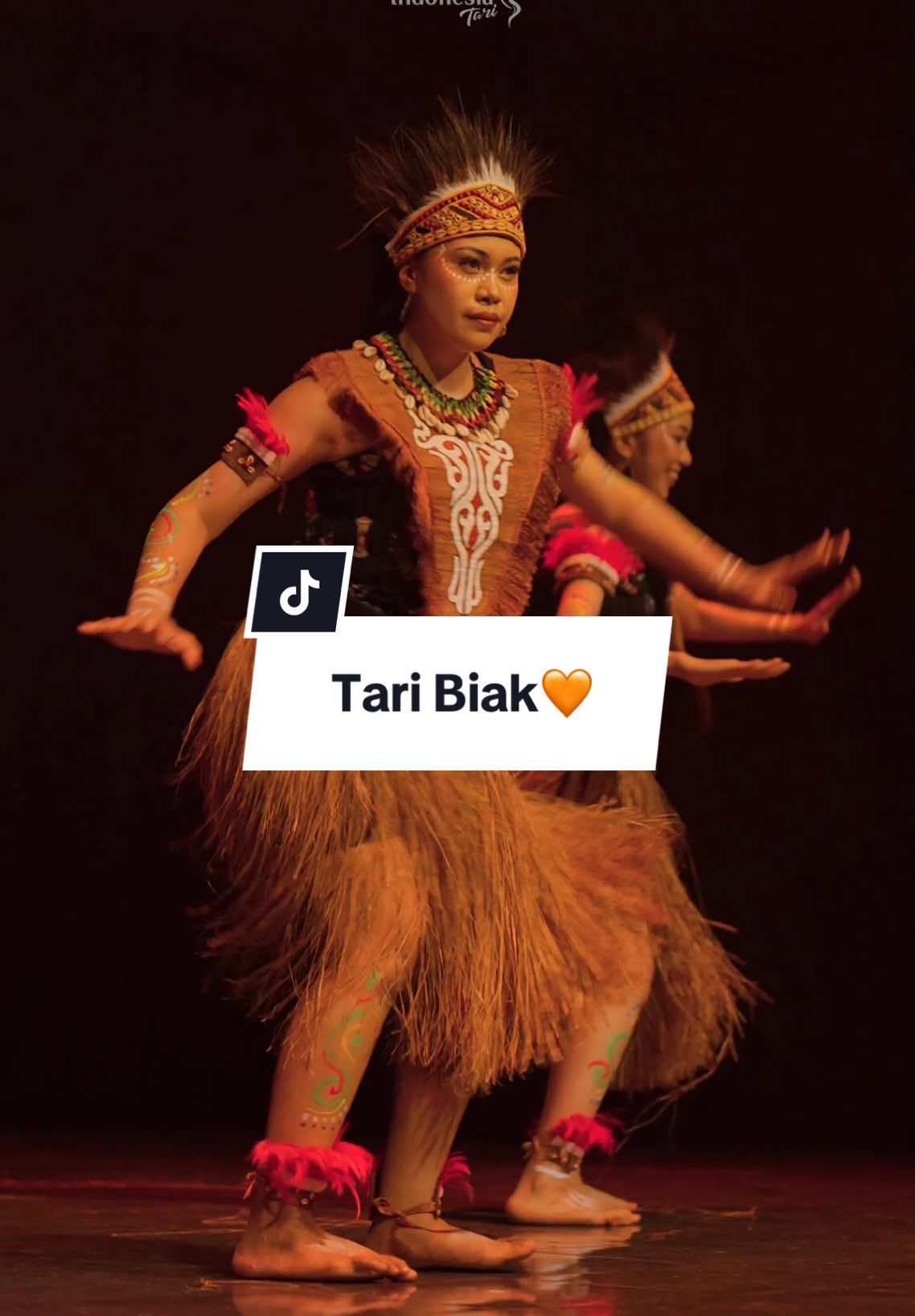 Tari Biak, Papua. Sebuah perwujudan rasa cinta dan kebanggaan yang mendalam terhadap tanah kelahiran yang telah memberikan banyak arti dalam hidup. Koreografer oleh Siti Marsita Septianti. ••• #tariindonesia #taribiak #biakpapua #budayapapua #menarimenginspirasi 